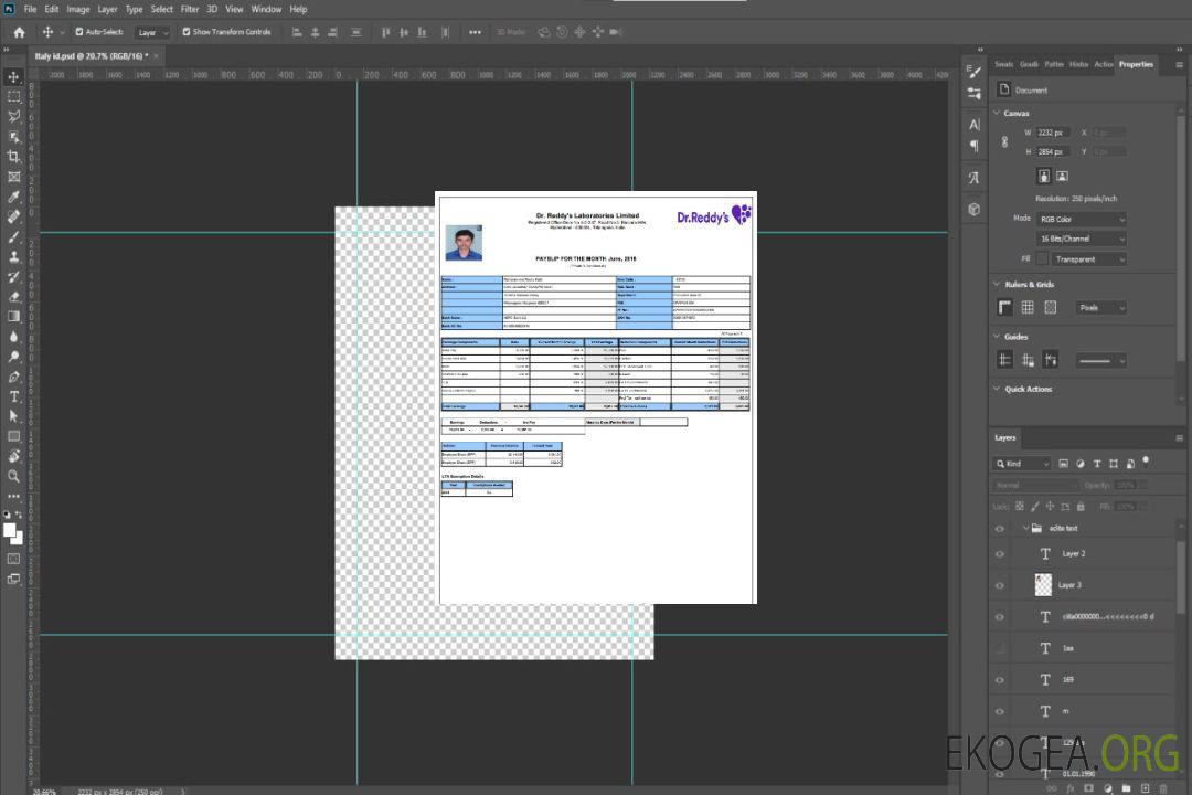 Modèle Word et PDF de fiche de paie de laboratoire template Modèle Word et PDF de fiche de paie de laboratoire template